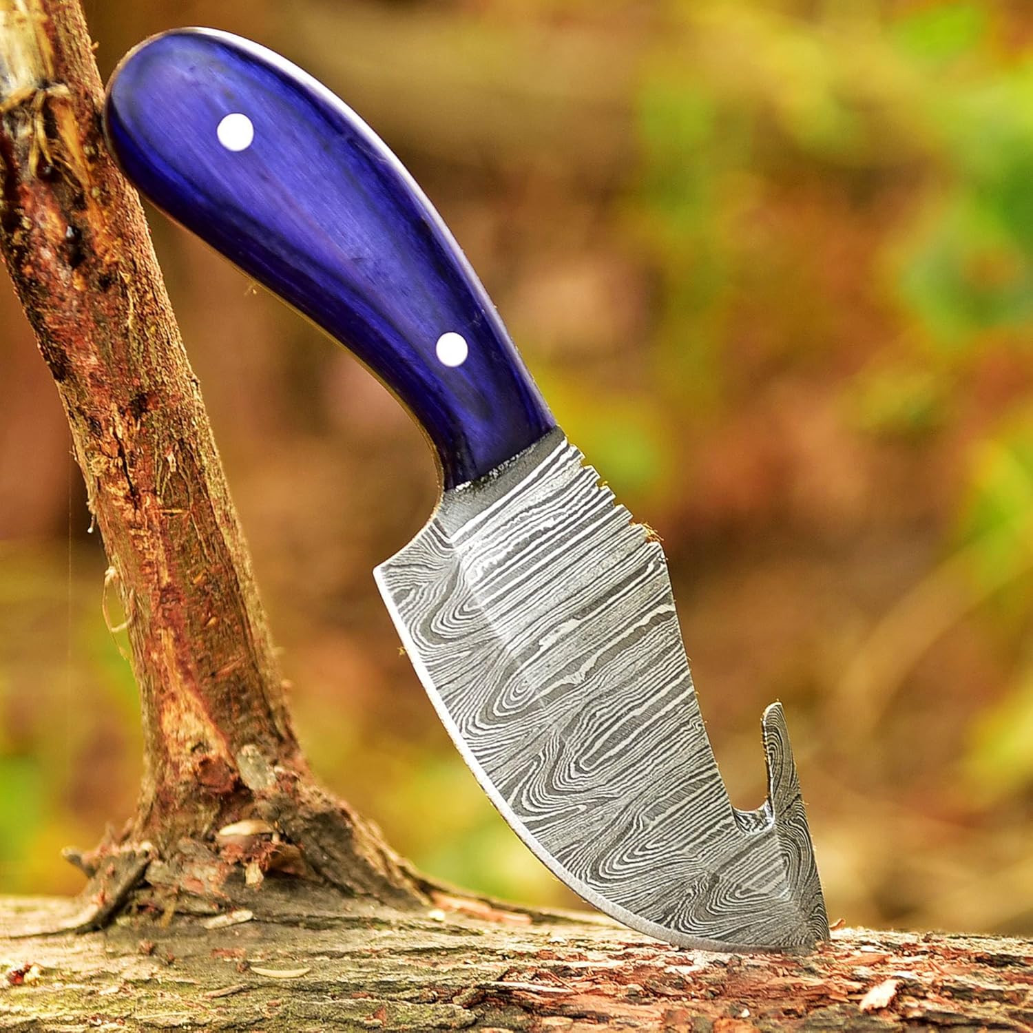 damascus steel gut hook hunting knife leather belt loop sheath mega blades damascus steel gut hook hunting knife leather belt loop sheath mega blades