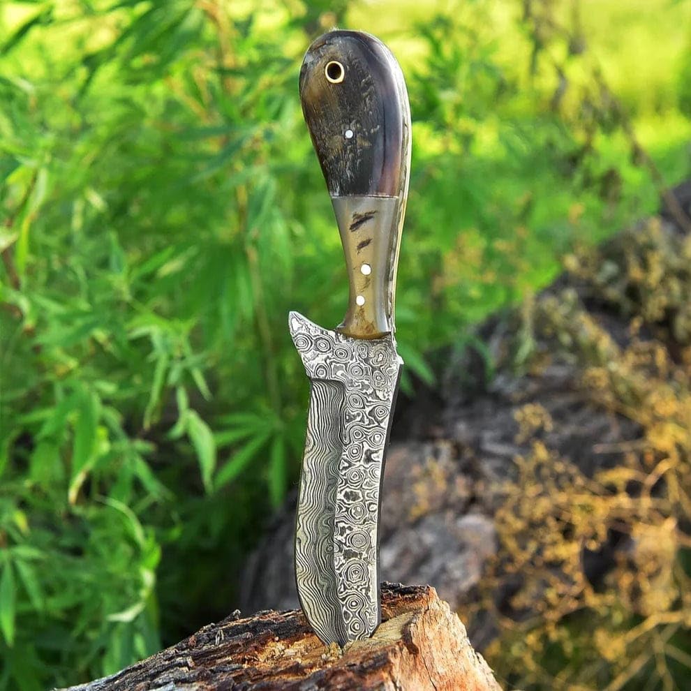 auto draft auto draft