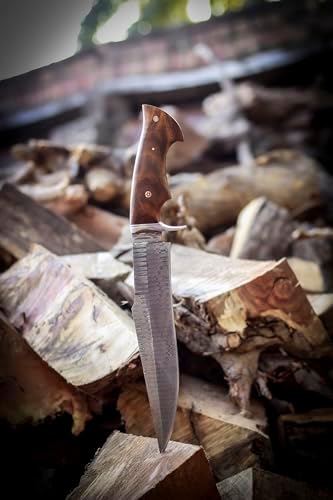 auto draft auto draft