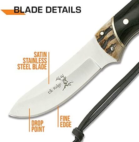 fixed blade knife stainless steel jig bone & wood handle | mega blades