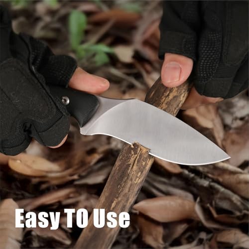 auto draft auto draft