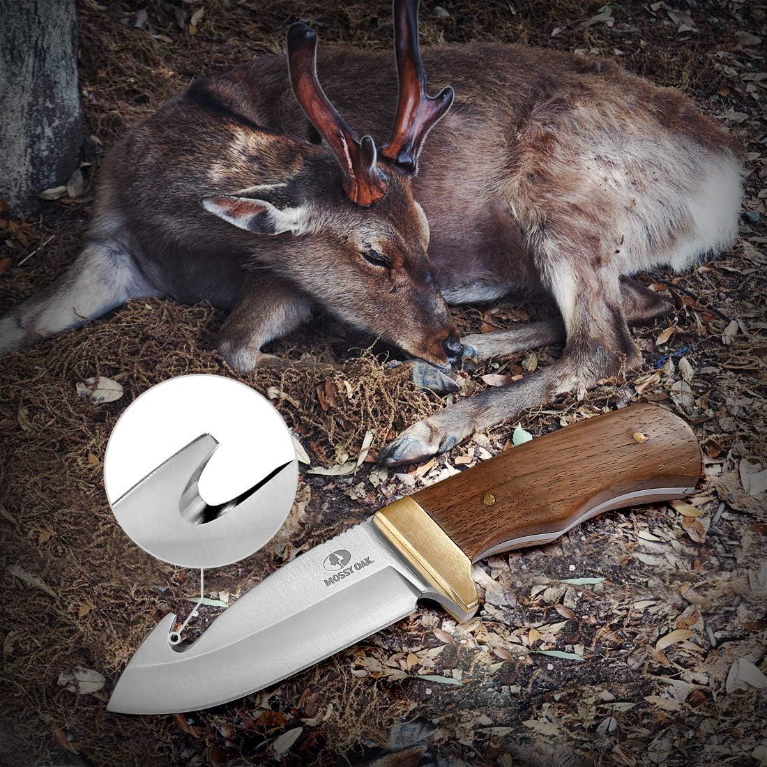 mossy oak gut hook hunting knife with wooden handle mega blades mossy oak gut hook hunting knife with wooden handle mega blades